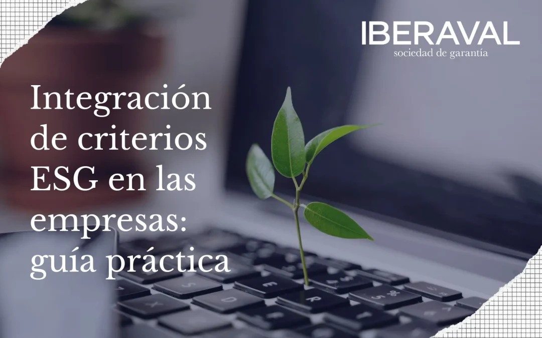 Integración de criterios ESG en las empresas guía práctica